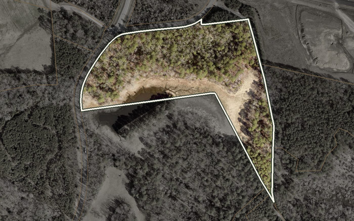 Aerial view of the wooded Lawrence Hayden Road property in Hollywood, outlined, with a pond at its southern edge